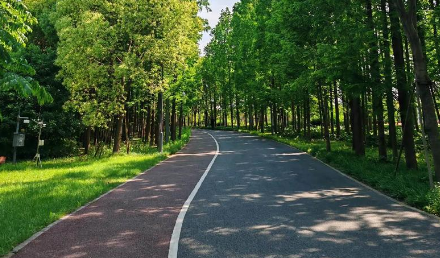 十堰恐龍化工：自行車綠道施工的理想之選